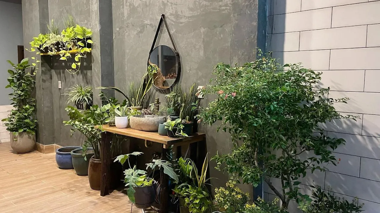 Vania House Peaceful Studio Near The Airport Ho Chi Minh City Vietnam