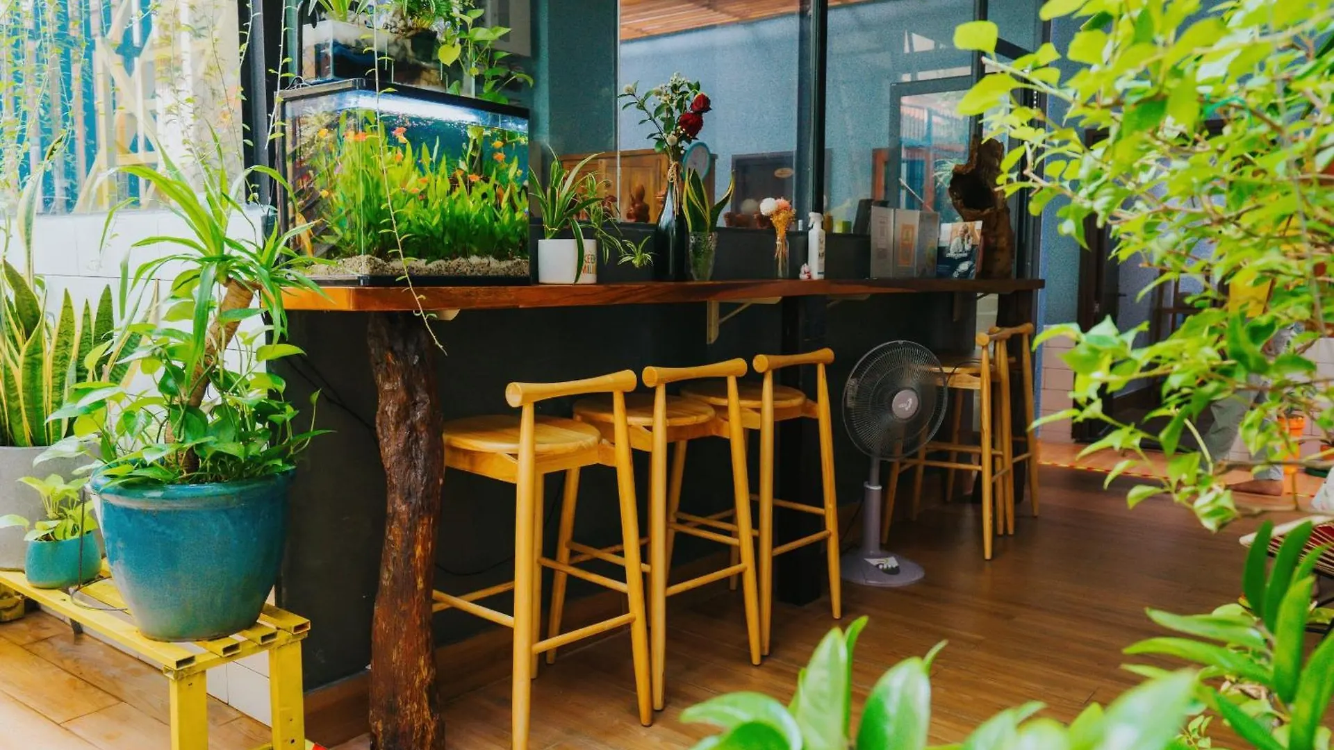 Vania House Peaceful Studio Near The Airport Ho Chi Minh City